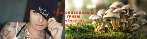 ешки Арсеньев