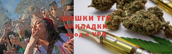 ешки Арсеньев