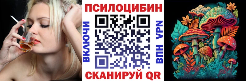 Галлюциногенные грибы Psilocybe  Губаха 